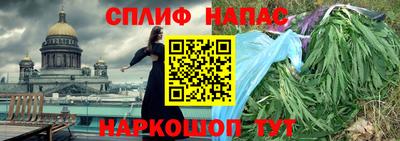 Альфа ПВП Брянск