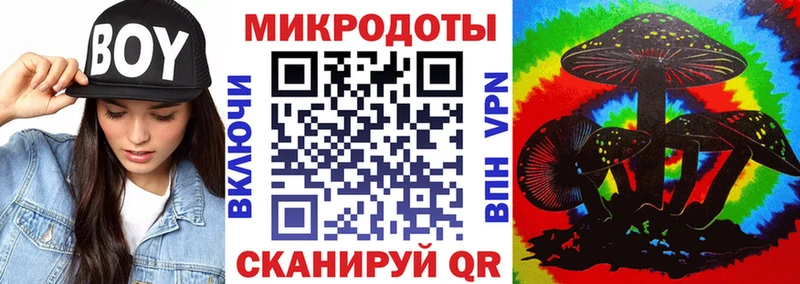 Галлюциногенные грибы Psilocybine cubensis где купить Верхняя Пышма