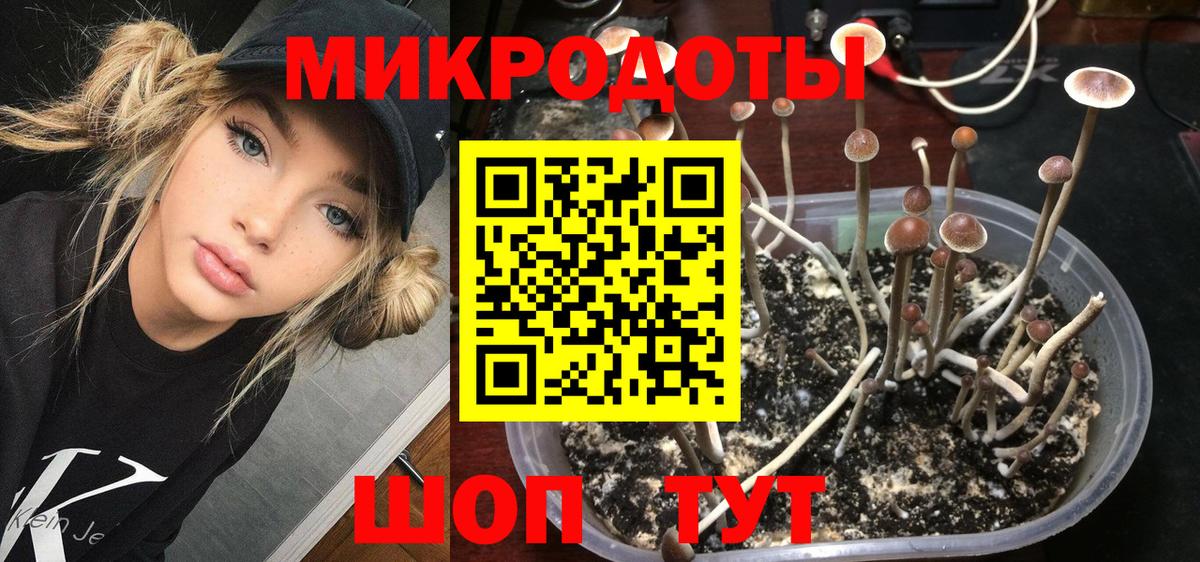 Галлюциногенные грибы MAGIC MUSHROOMS  Вход с VPN  Верхняя Пышма 
